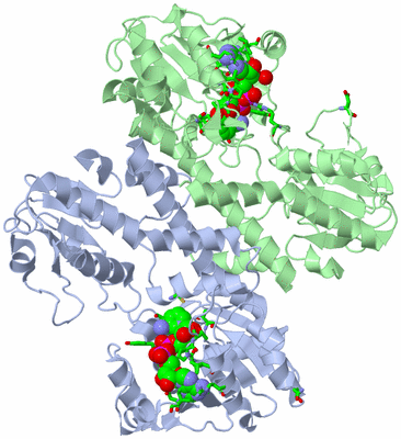 Image Asym./Biol. Unit - sites