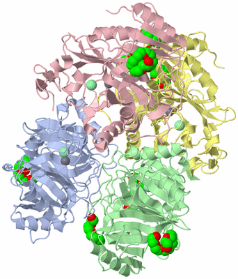 Image Asym./Biol. Unit