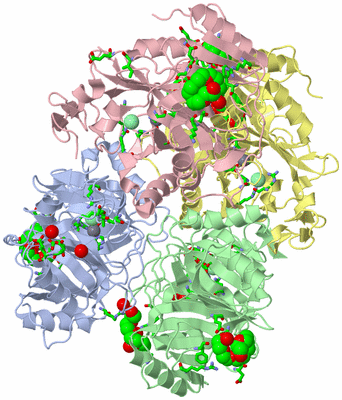 Image Asym./Biol. Unit - sites