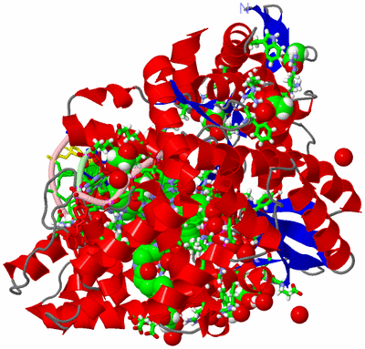 Image Asym./Biol. Unit - sites