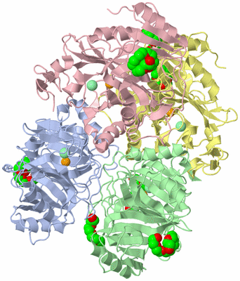 Image Asym./Biol. Unit