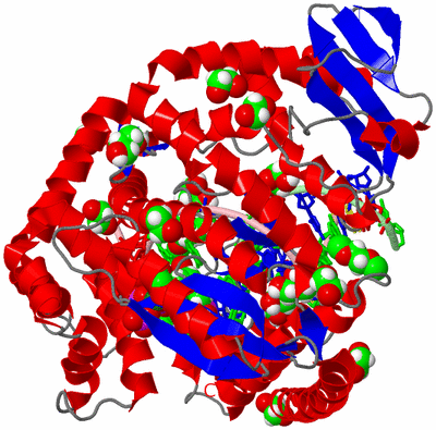 Image Asym./Biol. Unit