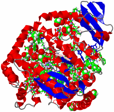 Image Asym./Biol. Unit - sites