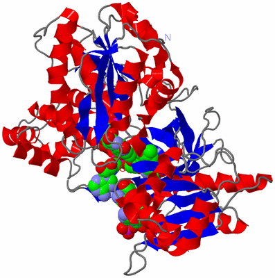 Image Asym./Biol. Unit