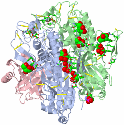 Image Asym./Biol. Unit - sites