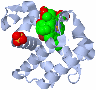 Image Biological Unit 2