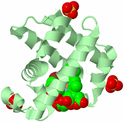 Image Biological Unit 3