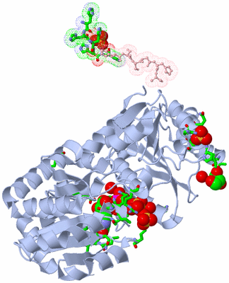 Image Biol. Unit 1 - sites