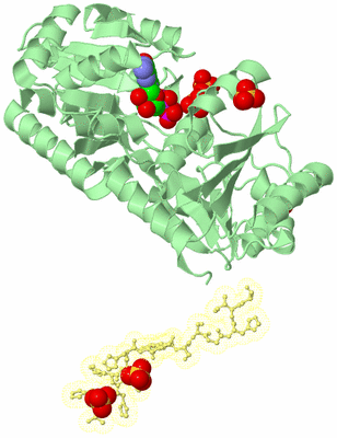 Image Biological Unit 2