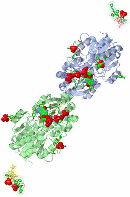 Image Asym. Unit - sites