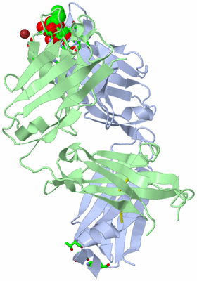 Image Asym./Biol. Unit - sites