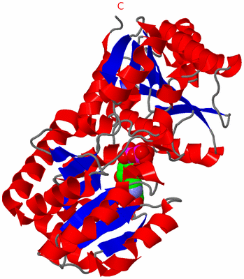 Image Asym./Biol. Unit