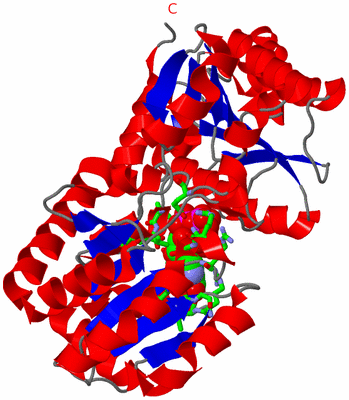 Image Asym./Biol. Unit - sites