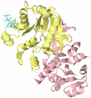 Image Biological Unit 2