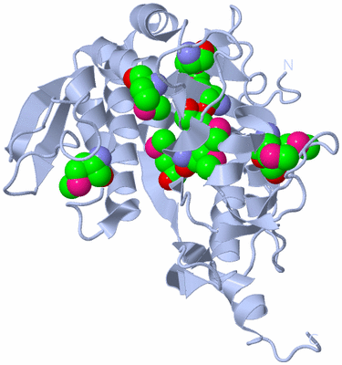 Image Biological Unit 1