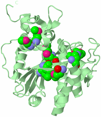 Image Biological Unit 2