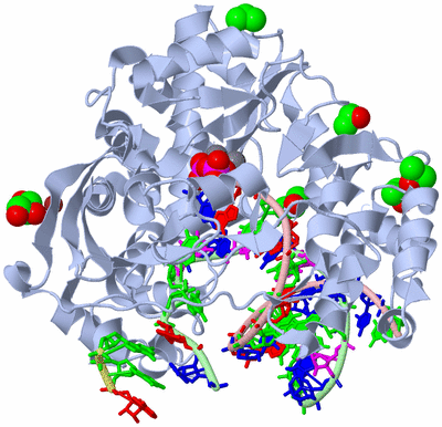 Image Biological Unit 1