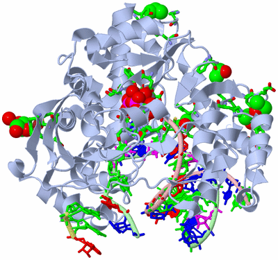 Image Biol. Unit 1 - sites