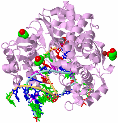 Image Biological Unit 2