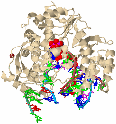 Image Biological Unit 3