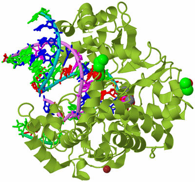 Image Biological Unit 4