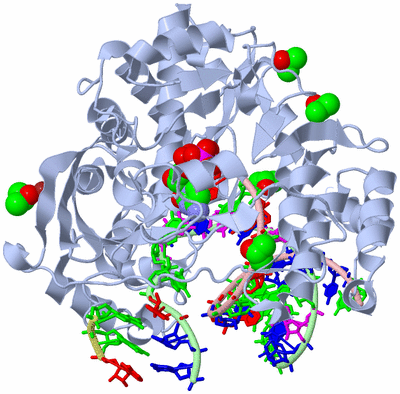 Image Biological Unit 1