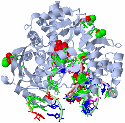 Image Biol. Unit 1 - sites