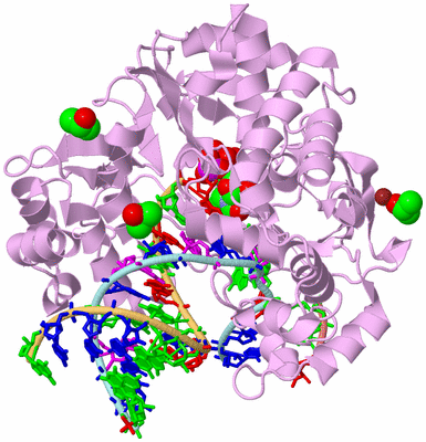 Image Biological Unit 2