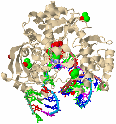 Image Biological Unit 3