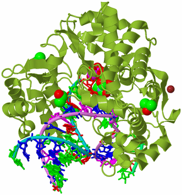 Image Biological Unit 4