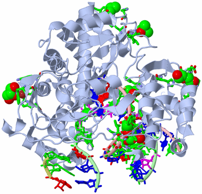 Image Biol. Unit 1 - sites