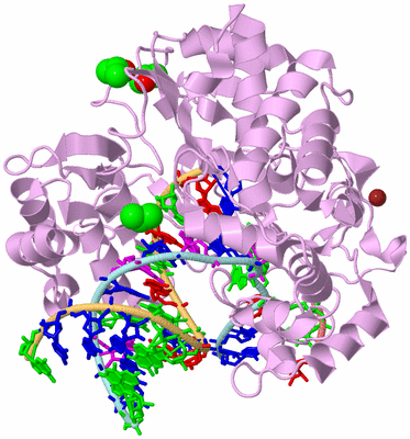 Image Biological Unit 2