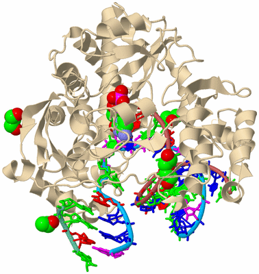 Image Biological Unit 3