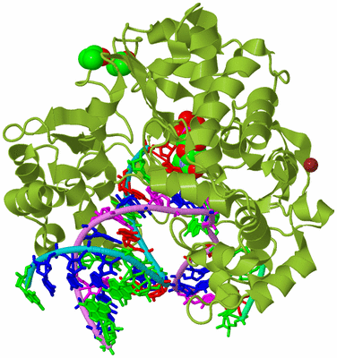 Image Biological Unit 4