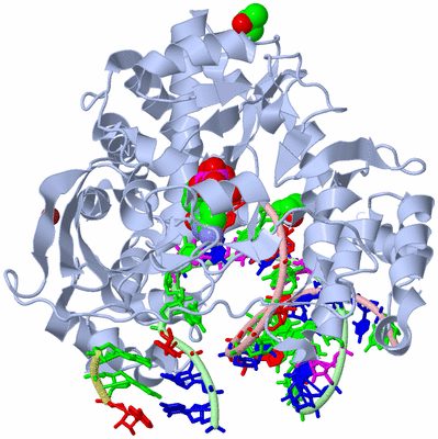 Image Biological Unit 1