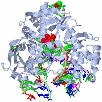 Image Biol. Unit 1 - sites