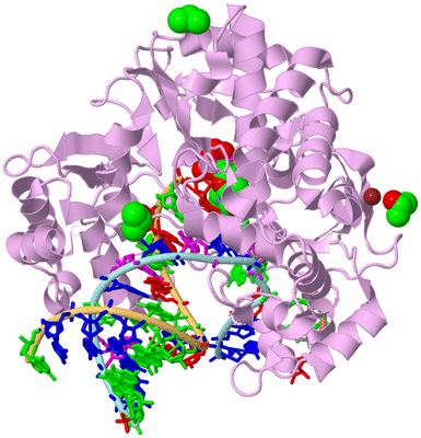 Image Biological Unit 2