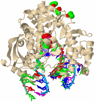 Image Biological Unit 3