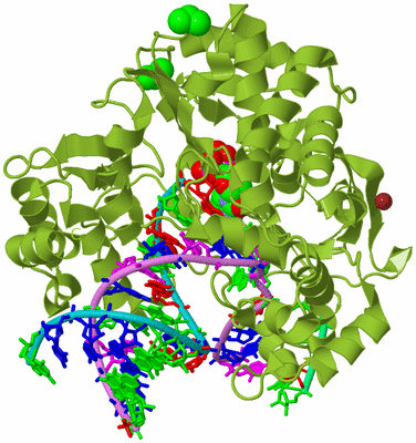 Image Biological Unit 4