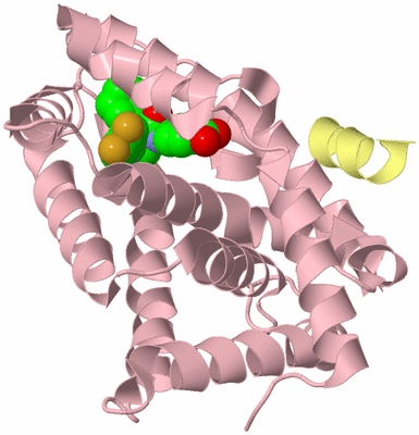 Image Biological Unit 2