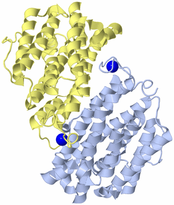 Image Biological Unit 1