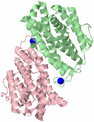 Image Biological Unit 2