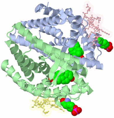 Image Biological Unit 3