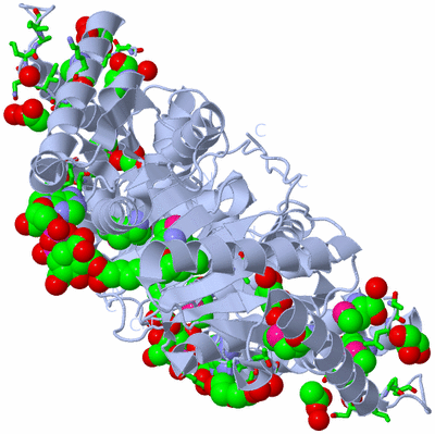 Image Biol. Unit 1 - sites