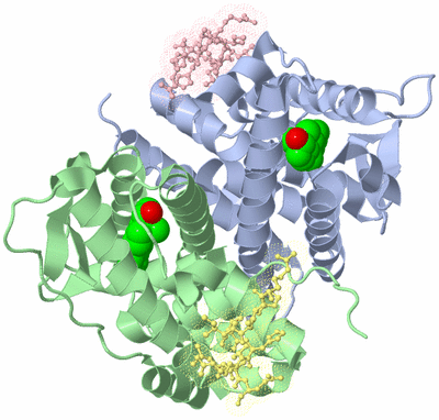 Image Biological Unit 3