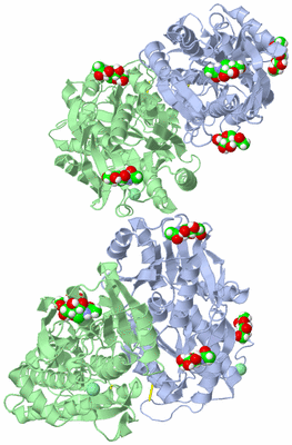 Image Biological Unit 1