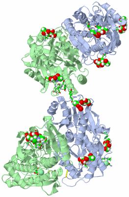 Image Biol. Unit 1 - sites