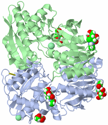 Image Biological Unit 2