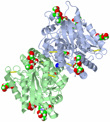 Image Asym./Biol. Unit