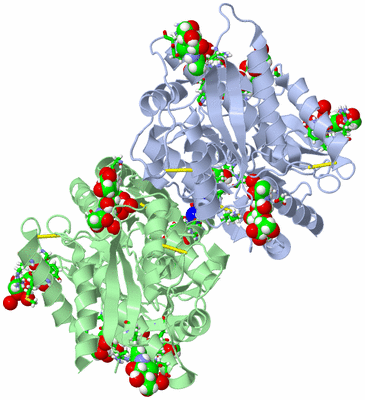 Image Asym./Biol. Unit - sites